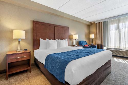 comfort inn and suites orlando north