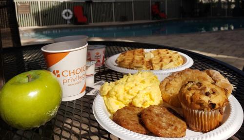 comfort inn and suites orlando north