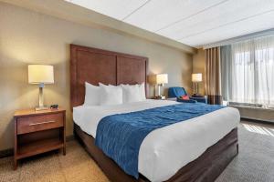 comfort inn and suites orlando north