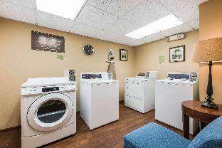 comfort inn and suites orlando north