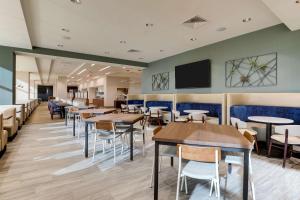 drury plaza hotel orlando disney springs area