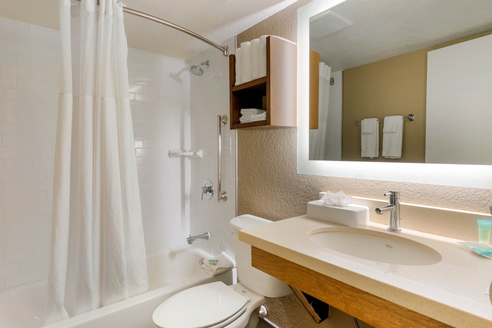 staybridge suites orlando royale parc suites by ihg