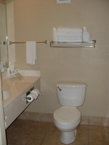 spark by hilton orlando universal blvd