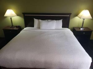 best western plus sanford airport lake mary hotel