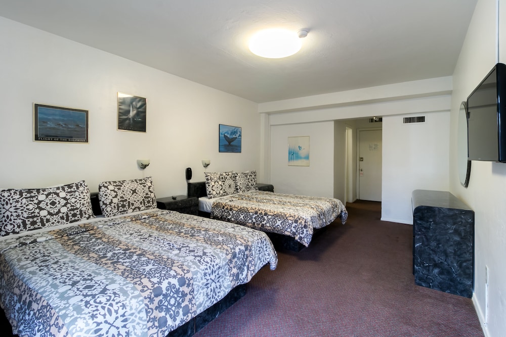 tropics hotel and hostel