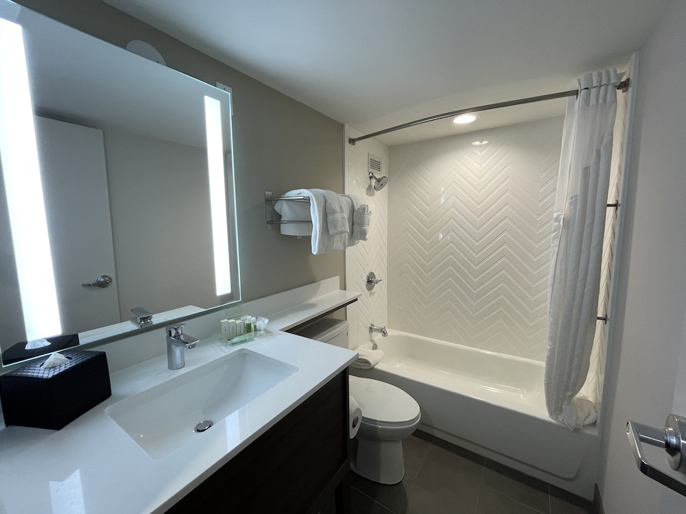 holiday inn and suites chicago downtown by ihg