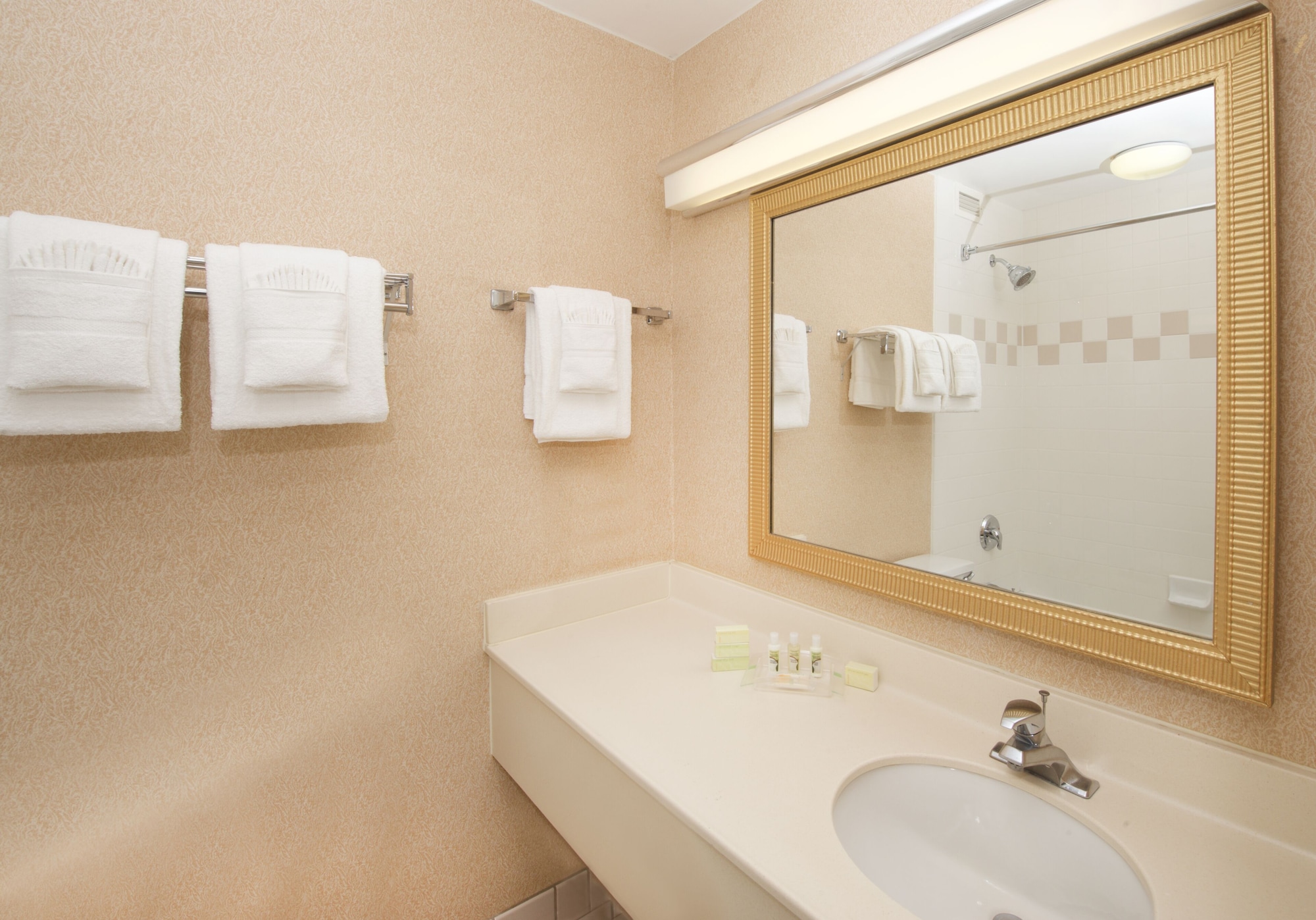 holiday inn and suites chicago downtown by ihg
