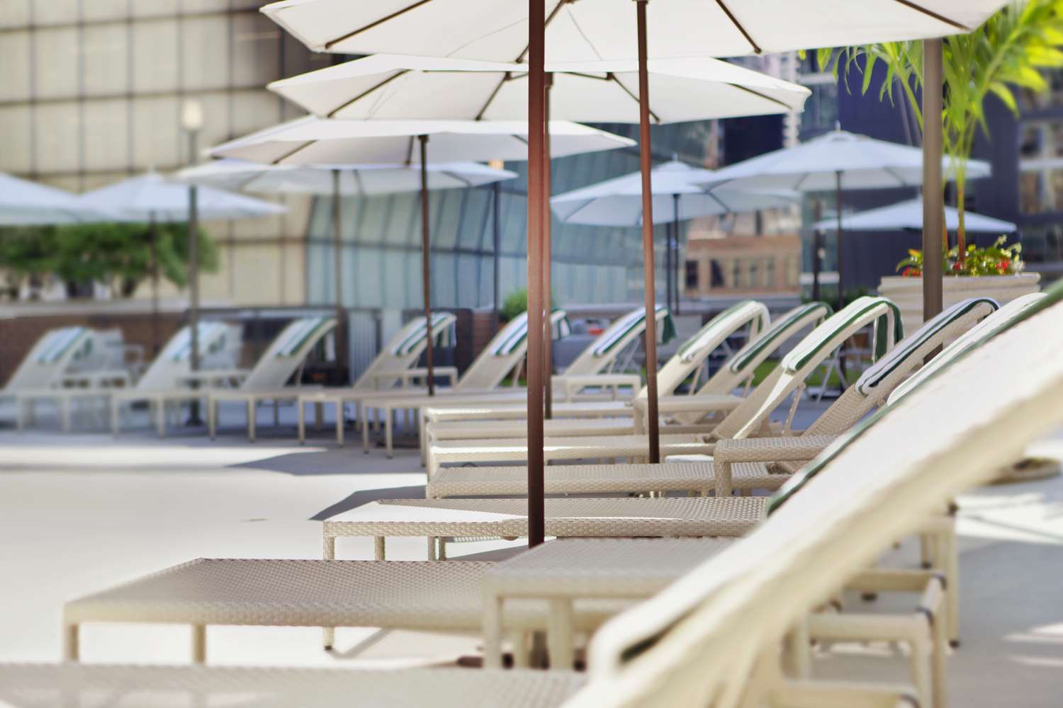 doubletree by hilton chicago magnificent mile