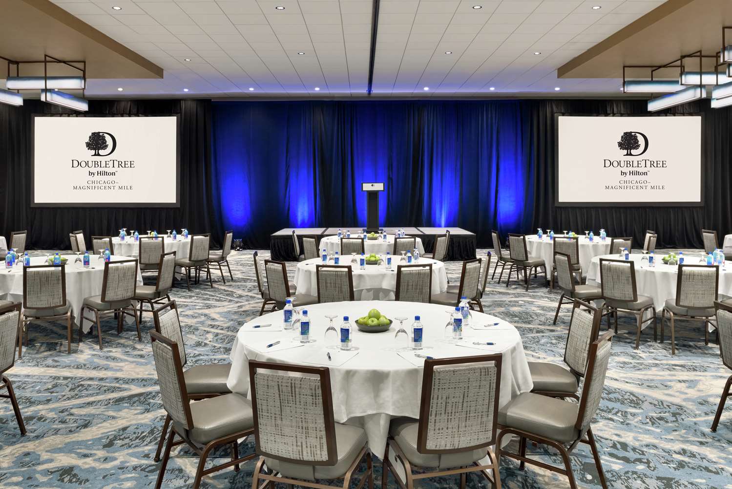doubletree by hilton chicago magnificent mile