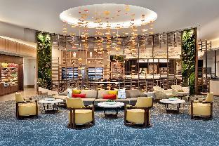 doubletree by hilton chicago magnificent mile