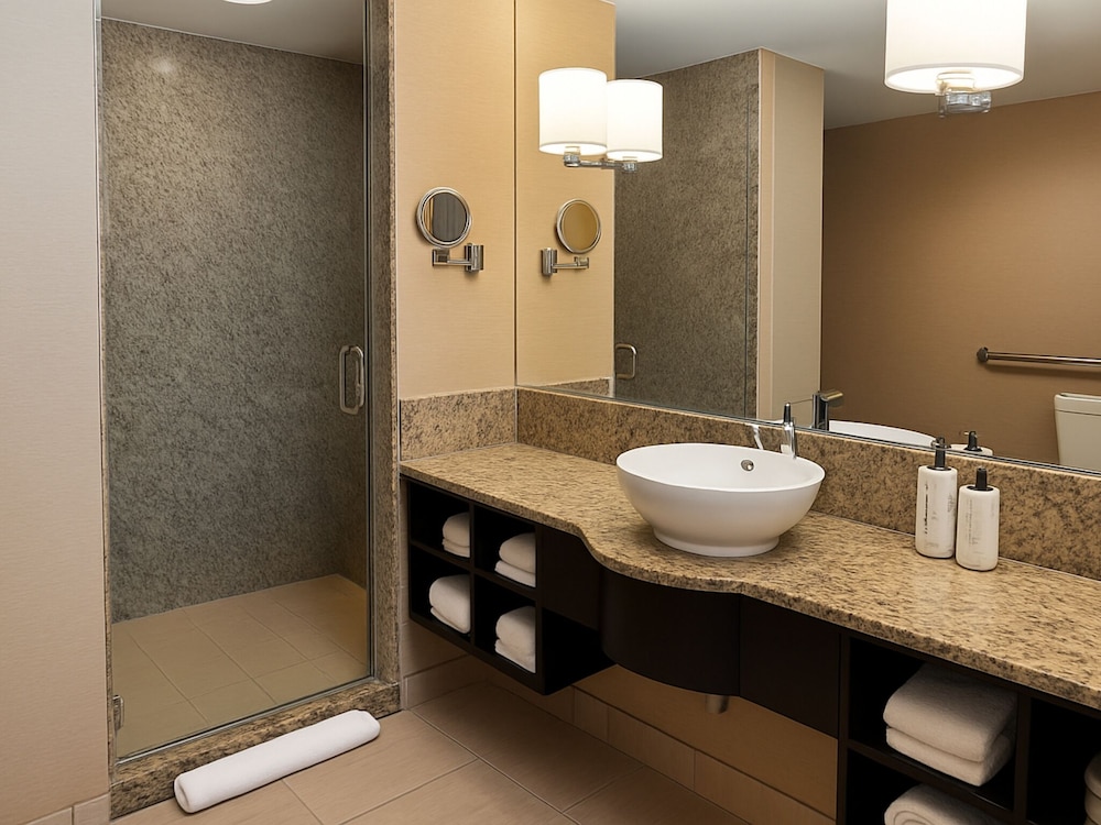 crowne plaza chicago ohare hotel and conf ctr by ihg