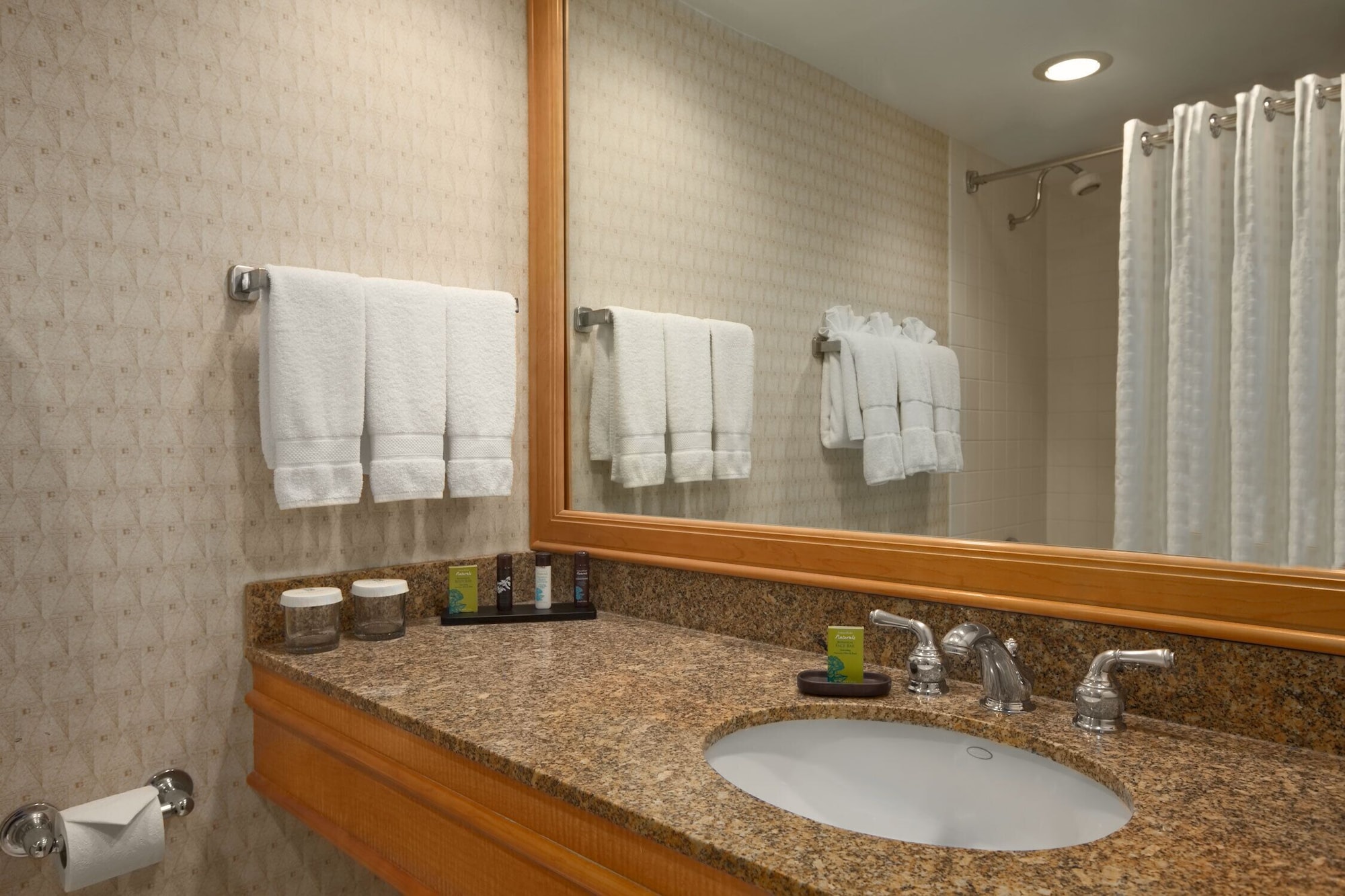 embassy suites by hilton chicago ohare rosemont
