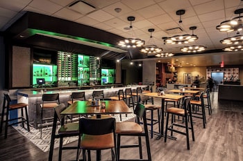 embassy suites by hilton chicago ohare rosemont