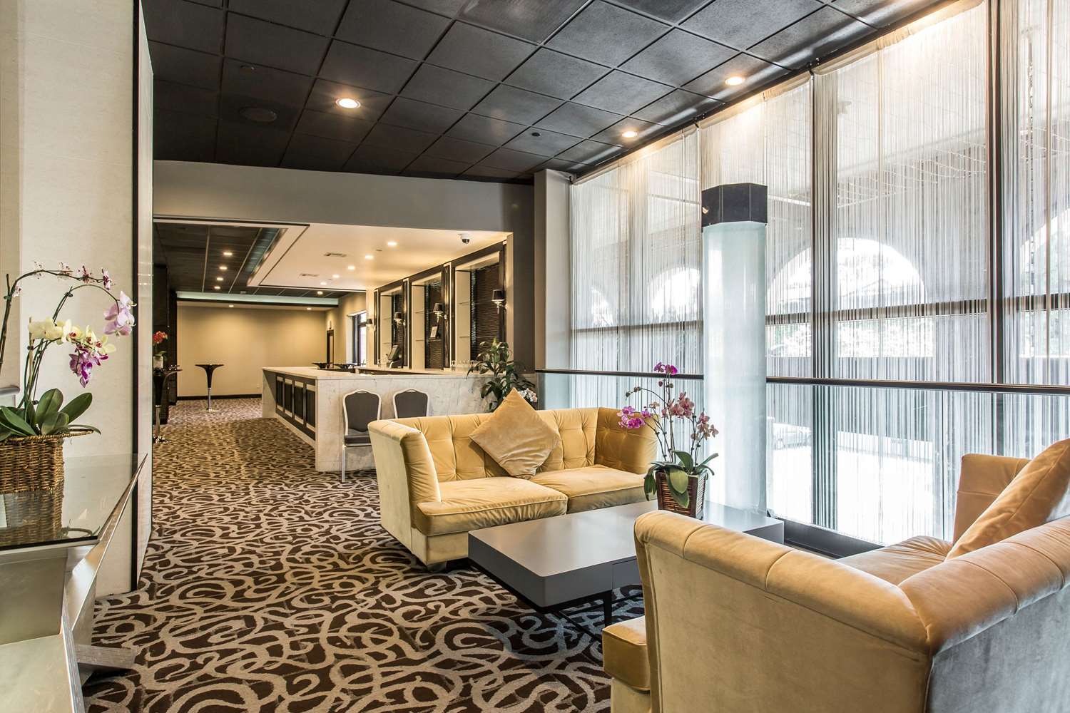voco laguna hills by ihg
