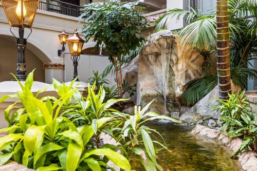 embassy suites by hilton los angeles lax south el segundo