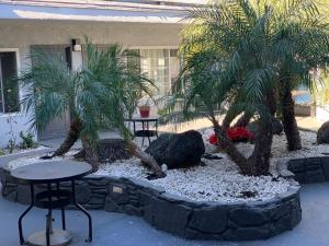 Skyways Hotel,In Los Angeles (Lax Area),2 star