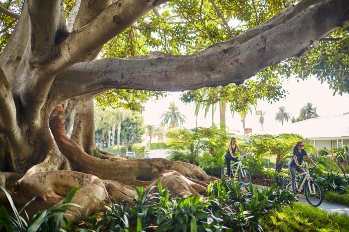 fairmont miramar hotel