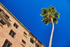 fairmont miramar hotel