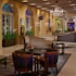 the royal sonesta new orleans