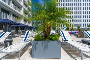 holiday inn new orleans downtown superdome by ihg