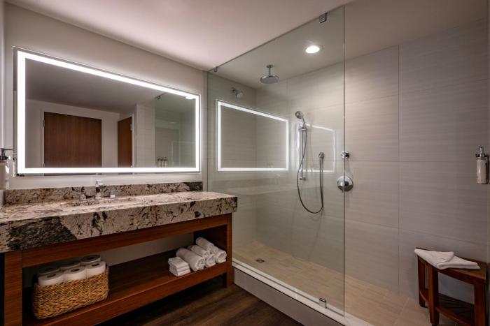 holiday inn new orleans downtown superdome by ihg