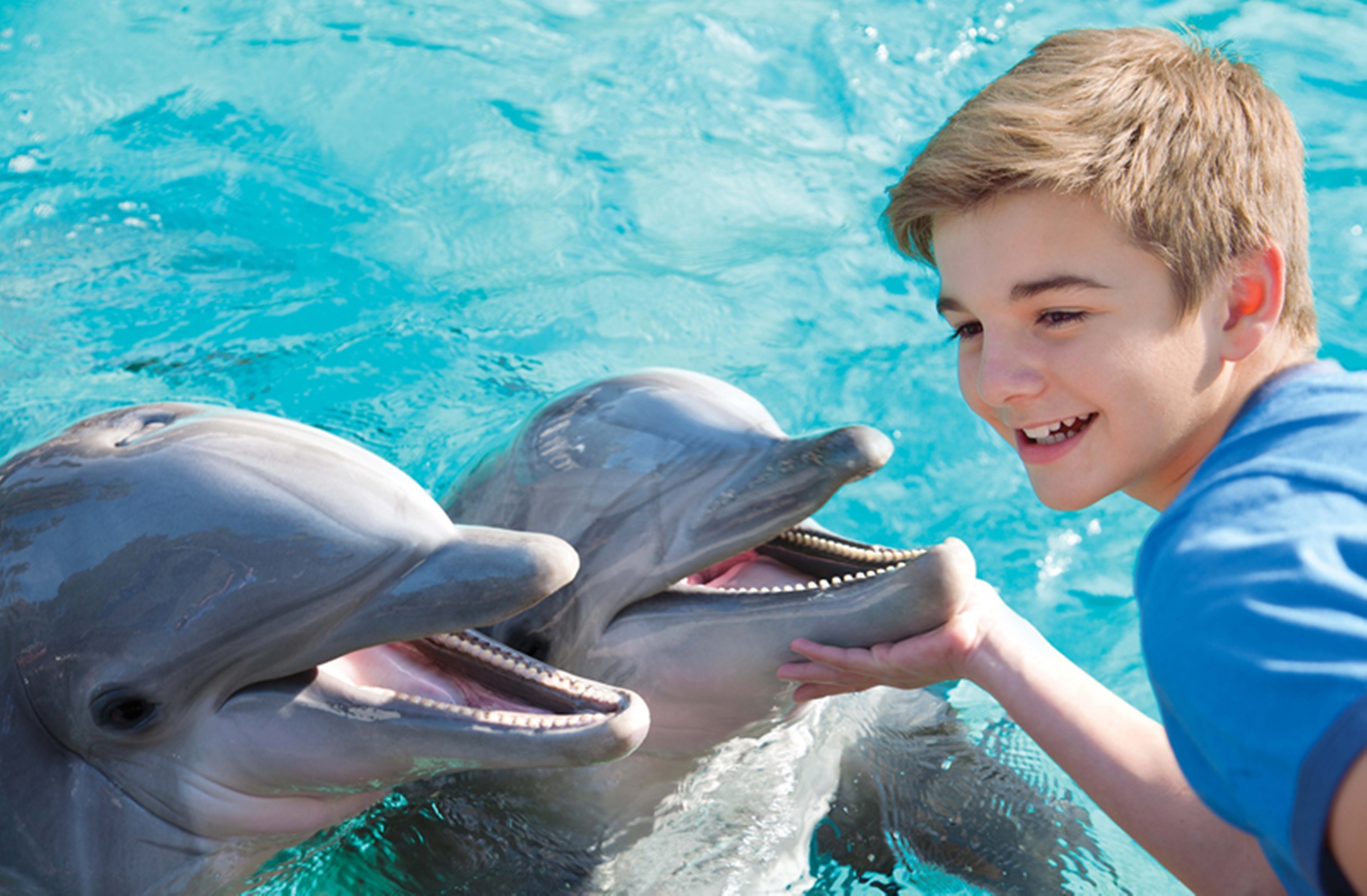 holiday inn express san diego seaworld area by ihg