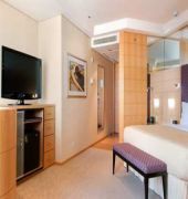 hilton sao paulo morumbi