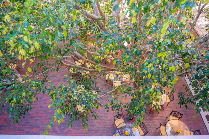 the horton grand downtown gaslamp quarter