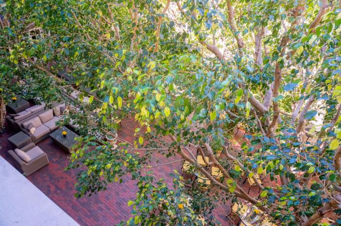 the horton grand downtown gaslamp quarter