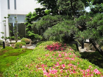 bellevue garden hotel kansai international airport