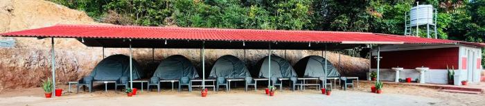 the nest bettathur coorg