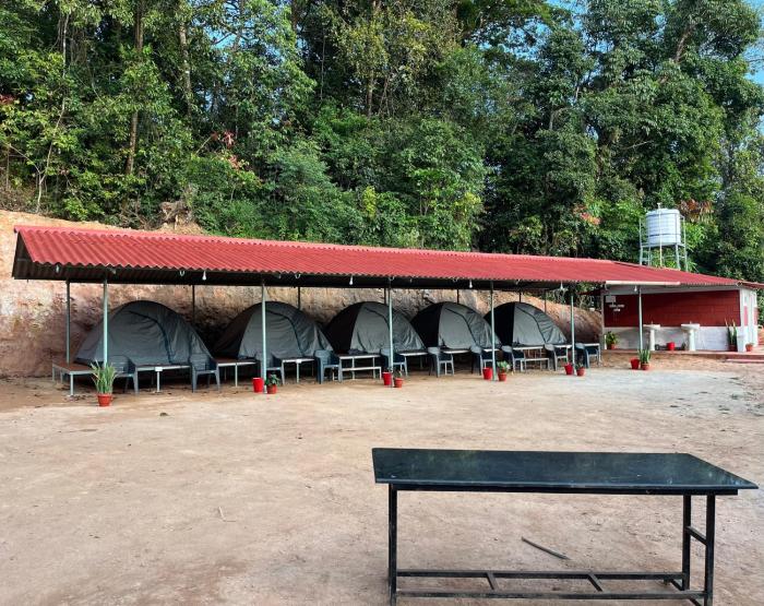 the nest bettathur coorg
