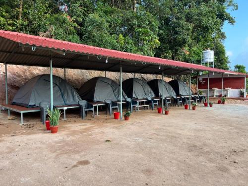 the nest bettathur coorg