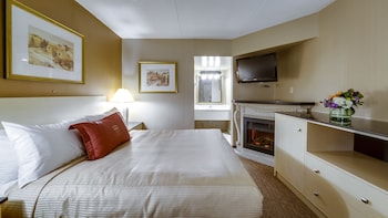 monte carlo inn toronto west suites
