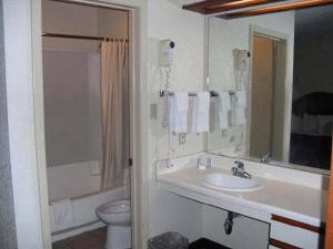 homegate studios and suites san antonio fiesta park