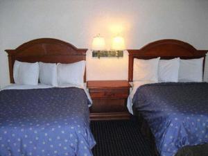 homegate studios and suites san antonio fiesta park