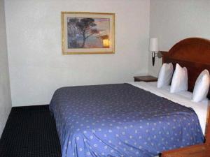 homegate studios and suites san antonio fiesta park