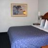 homegate studios and suites san antonio fiesta park