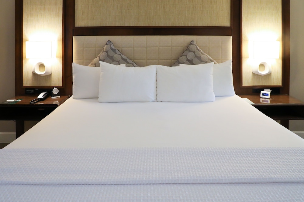 almond tree inn hotel adults only