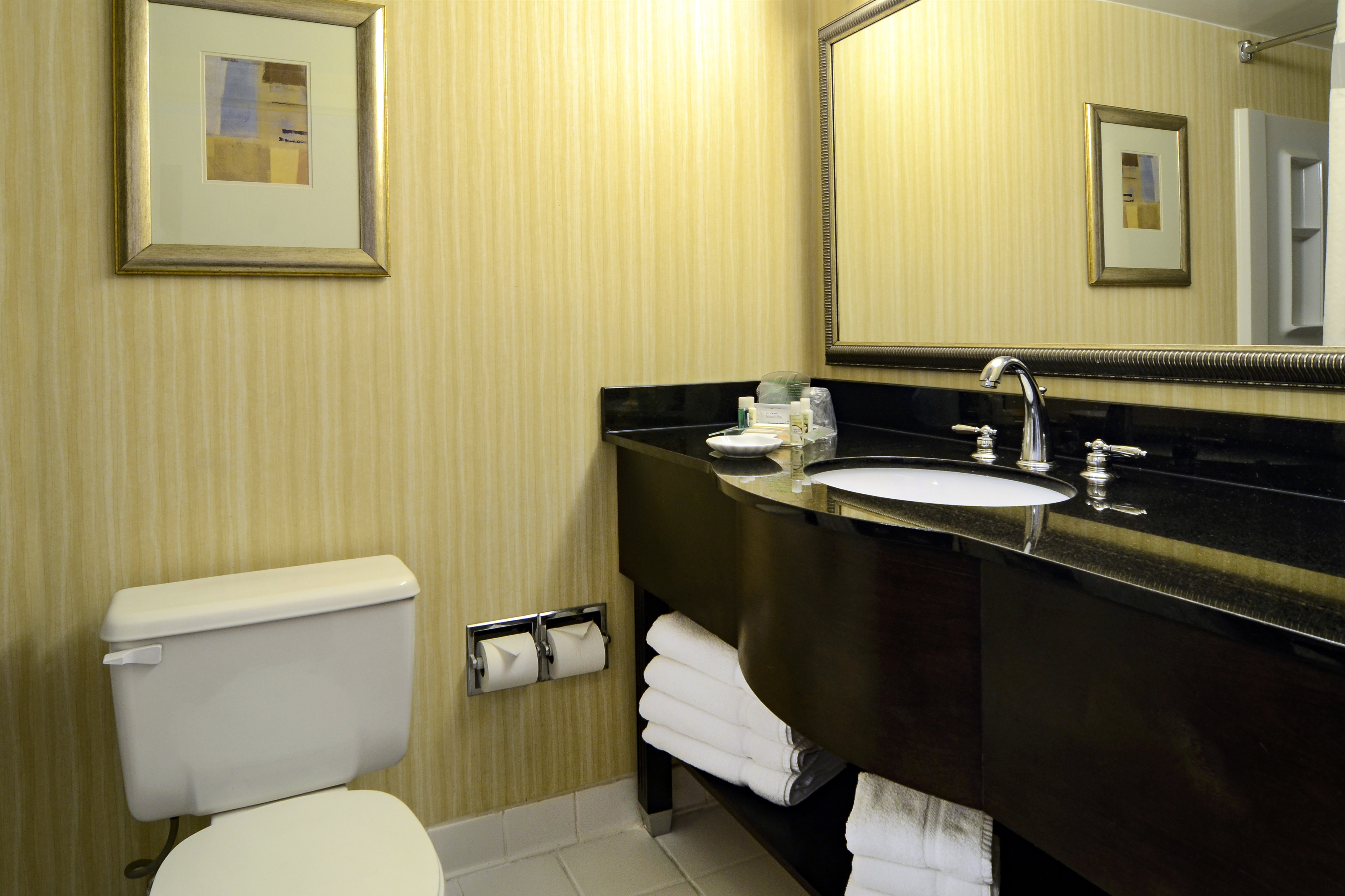 holiday inn washington dc greenbelt md by ihg