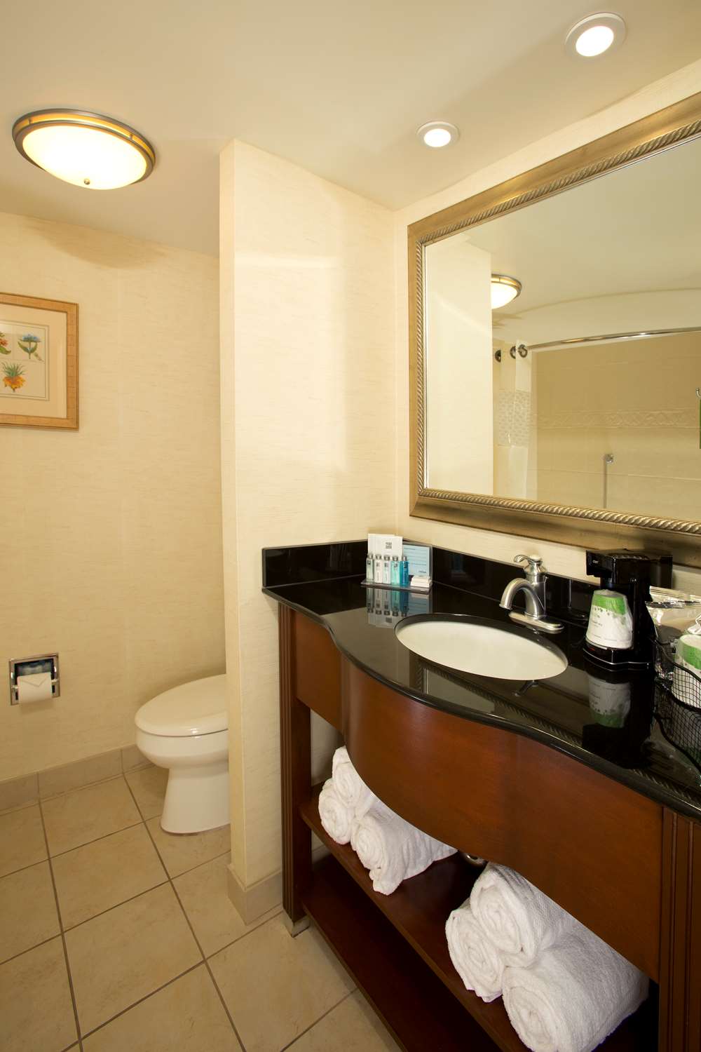 hampton inn alexandria pentagon south
