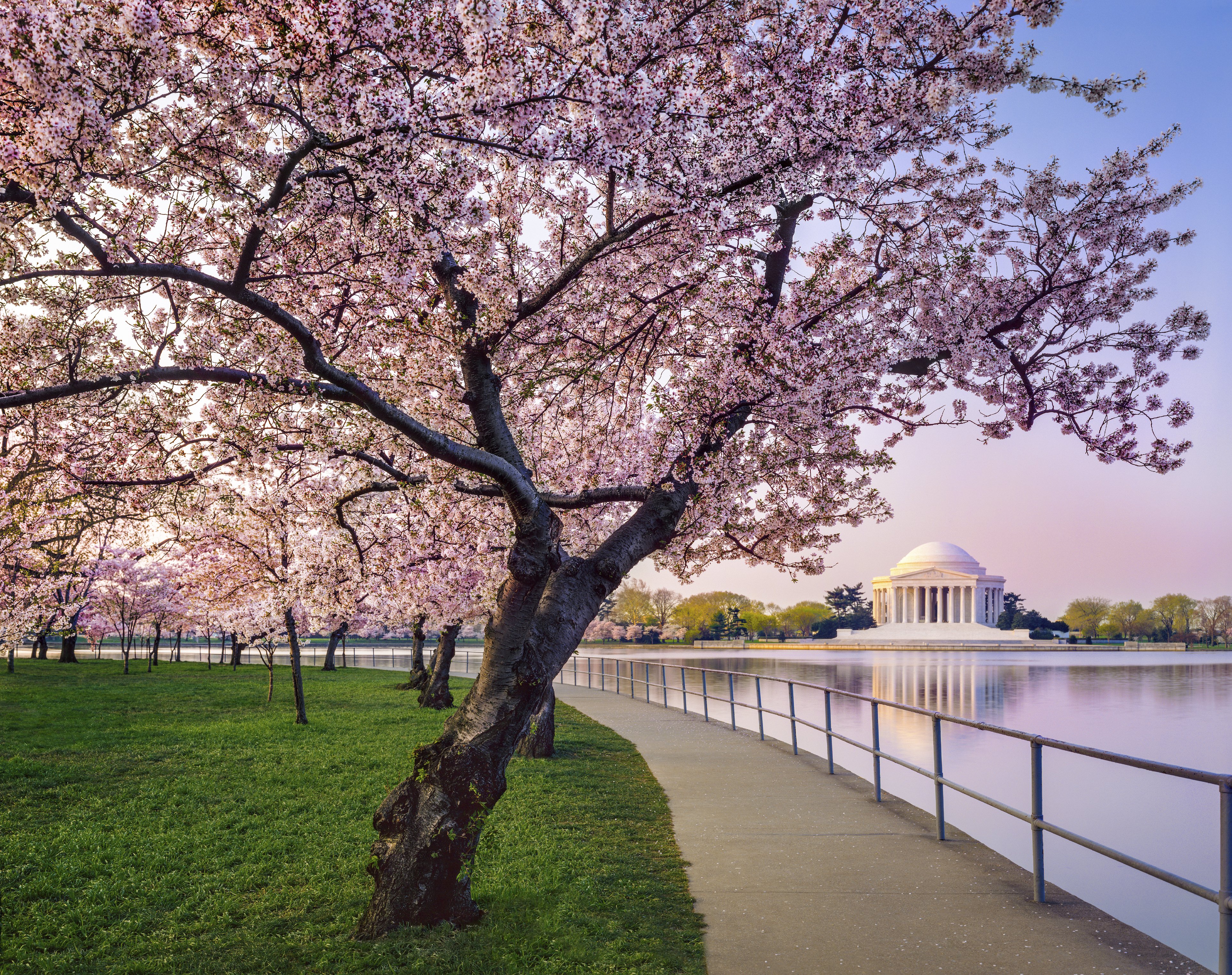 kimpton hotel monaco washington dc by ihg