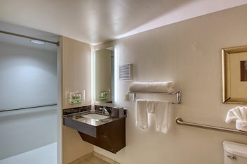 Holiday Inn Hotel & Suites Atlanta Airport-North By Ihg,East Point>>Atlanta,3 star