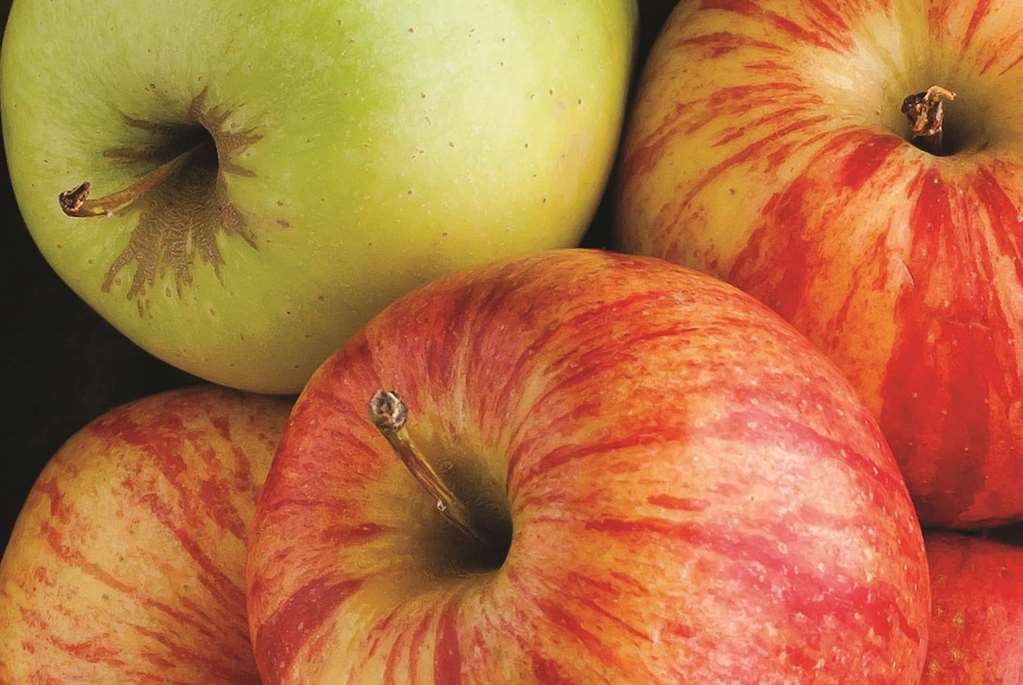 la quinta inn and suites by wyndham atlanta perimeter medical