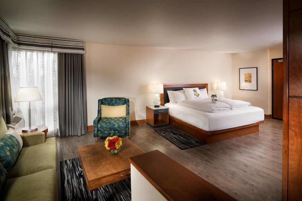 staypineapple watertown hotel university district seattle