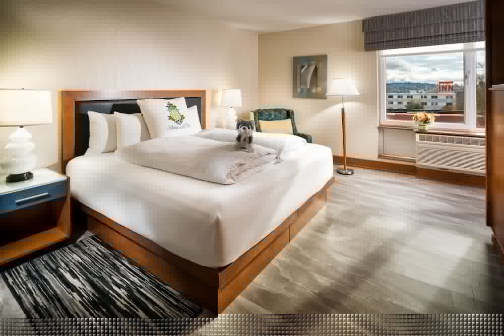 staypineapple watertown hotel university district seattle