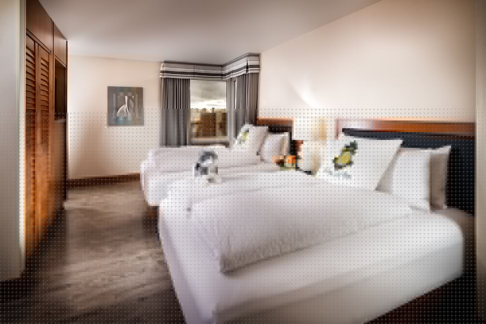 staypineapple watertown hotel university district seattle