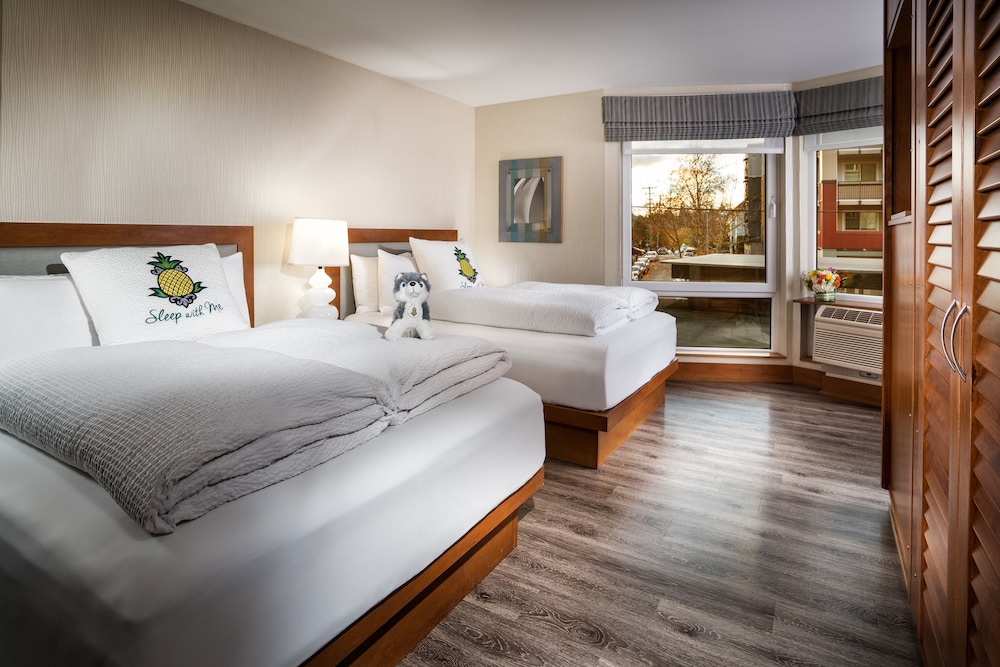 staypineapple watertown hotel university district seattle