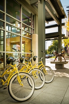 staypineapple watertown hotel university district seattle