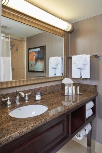 doubletree by hilton dallas market center